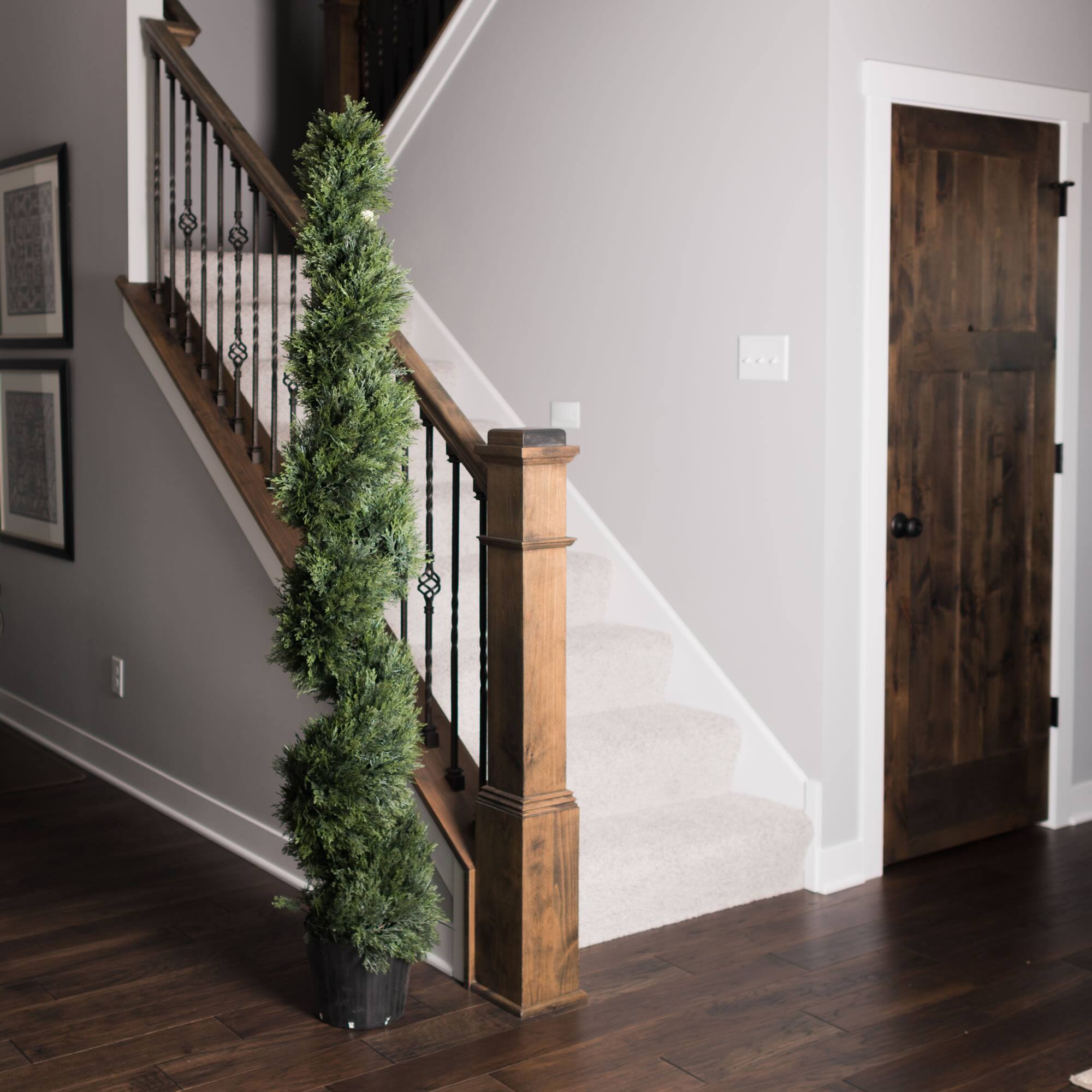 6ft. Potted Green Cedar Spiral Tree